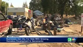 Sacramento business park employees express safety concerns as homeless encampment grows