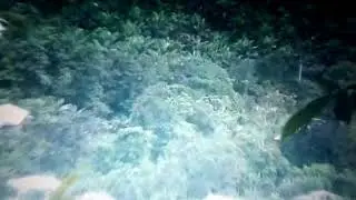 MoRISC TV - Amba Boys Observe LRC Military Movements