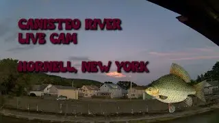 Canisteo River Live Cam 24/7 - Hornell, New York - 7-30-2025