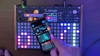 Jamuary 07 with Synthstrom Deluge #dawless #jamuary 