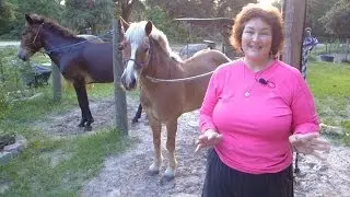 Worming Horses Naturally. Becky's Horse Worming Schedule.