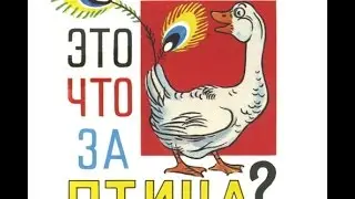 Что ЭТО за ПТИЦА! Аудисказки!