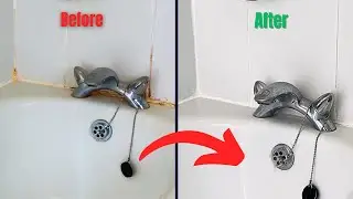 How to Remove Mold from Shower & Bathtub Quick & Easy