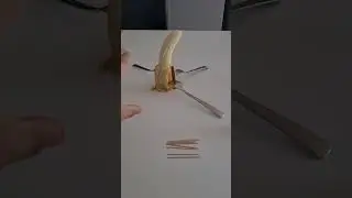 Throwing Toothpicks Like A SAMURAI!