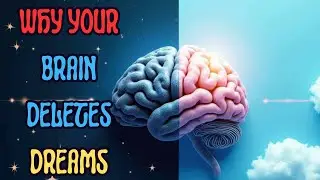 WHY YOUR BRAIN DELETE'S DREAMS