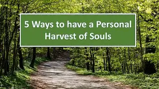 5 EASY & Practical Ways for personal soul-winning harvest