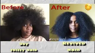 Reviving My DRY,DEAD HAIR In Minutes! (Real Results)