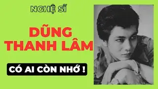Artist Dung Thanh Lam - Does anyone remember?