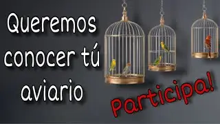 🏠 INVITACI&Oacute;N ESPECIAL: Comparte tu Aviario con AVIARIOMFA 🐦 | &iexcl;Participa y S&eacute; Parte del Canal!