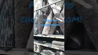 Home decor!  Which color will you choose? #Walmart #Carpet #Shopping #shorts #clearance