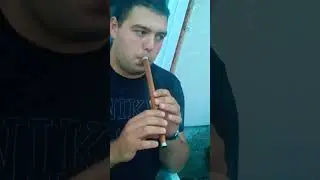 Fluier