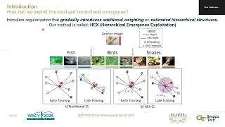 [WACV 2025 ORAL] HEX: Hierarchical Emergence Exploitation in Self Supervised Algorithms