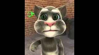نهاية القذافي gueddafi fin