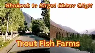 Exploring the Ghakuch Birgal Trout Fish Farm Ghizer Gilgit
