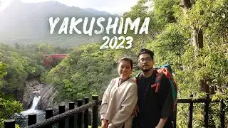 VLOG Japon 2023 Yakushima J12-J13
