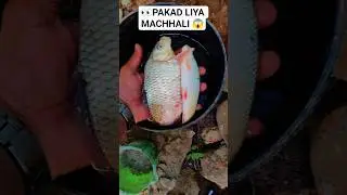 👀Last mai Pakad liya Machhali 😱#minivlog #desi #vlog #ytshorts Shorts Viral Video Gao ka video