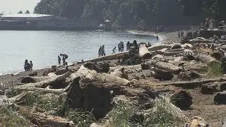 Tacoma Report Tacoma Beaches 8-31-19