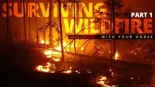Surviving Wildfire with your horses - Part 1