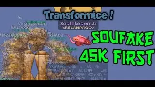 TRANSFORMICE - Soufakedenub 45K first [+100 MICES] 60 FPS
