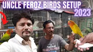 birds setup tour |  breeding love birds result | Parrot avairy