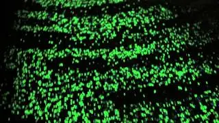 VAN GOGH PATH | Glowing path inspired by Starry Night by Studio Roosegaarde [OFFICIAL MOVIE]