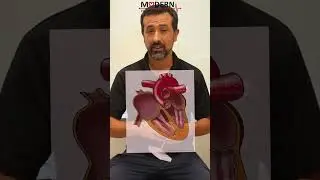 What is Afib (Atrial Fibrillation)?
