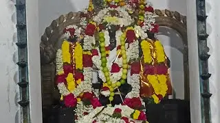 Murugan K0vil Thai poosam Tere Naal pakdam vanga vanga🙏🙏
