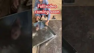 Collar fan full video coming soon #amazing