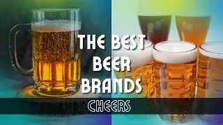 What is Your Favorite Beer? Top 8 of the Best Beer Brands.