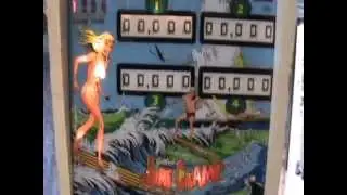 Gottlieb Surf Champ (1976)