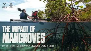 Visiting Miami&rsquo;s Mangroves with WATR | E1 Blue Impact Championship