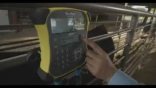 EziWeigh7i Weigh Scale Indicator