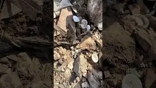 Before and after cleaning a road buried in trash #saigonxanh #cleaning #rivercleaning #shorts