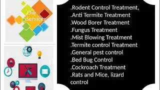 One of the Largest Pest Control Services In Noida | Get Up To 20% OFF