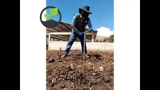 PURUMA Agricultura Regenerativa