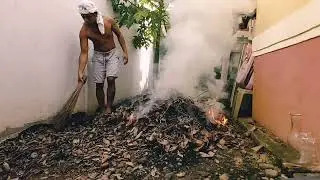 Burning Dried Tree Leaves.