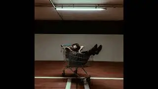 FITZA - When the party's over