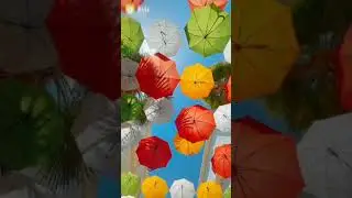 umbrella city in portugal #shorts