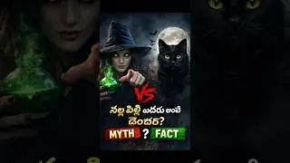 Seeing a Black Cat = Bad Luck? 😨 Truth Revealed#shorts  #facts #animalfacts #telugu#knowledge