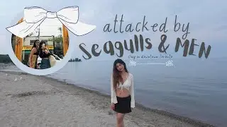 Day in Downtown Toronto | summer at the beach | we get attacked by seagulls & MEN | woodbine beach |