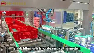 WIN-WIN PACK Compact Delta Robot Case Packer | Stable Lifting and Quick Changeover #robotpacker