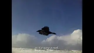 Let Me Float on the Wind