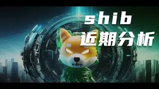 shib分析