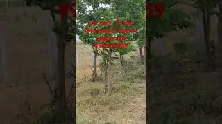 urgent sale lands  Dharmapuri district ... subscribe
