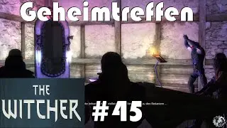 Ein weiterer St&uuml;tzpunkt/The Witcher Part 45 #letsplay