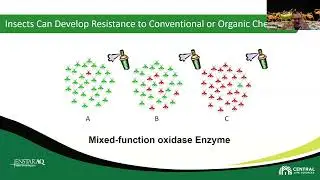 Webinar: SMART Insect Solutions for All Nursery Stocks
