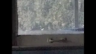 Oh Baby It Is Cold Outside