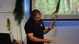 &Ouml;ljyhampun viljely, viljelij&auml;puheenvuoro