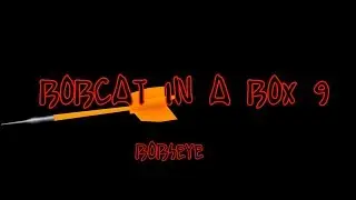 Bobcat In A Box 9: Bobseye