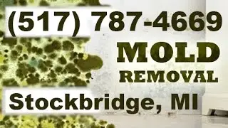 Mold Removal Stockbridge MI (517) 787-4669 | Mold Remediation Stockbridge Michigan
